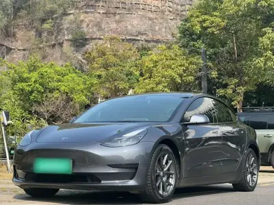 Tesla Model 3 2021 (80200 км)