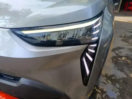 AION Y 2021 (86300 км)