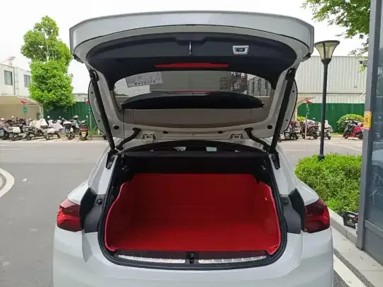 BMW X2 2021 (137600 км)