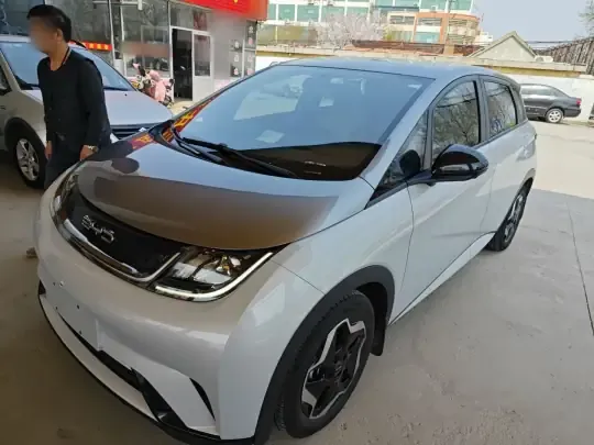 BYD Dolphin 2021 (86800 км)