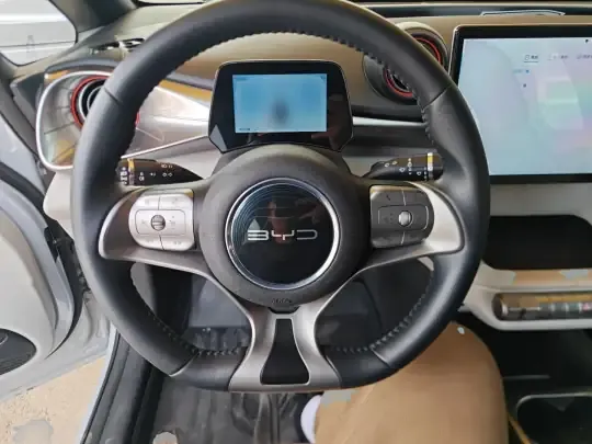 BYD Dolphin 2021 (86800 км)