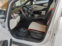 BYD Dolphin 2021 (86800 км)
