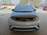 BYD Dolphin 2021 (86800 км)