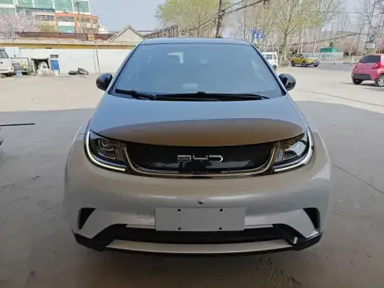 BYD Dolphin 2021 (86800 км)