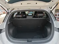BYD Dolphin 2021 (86800 км)