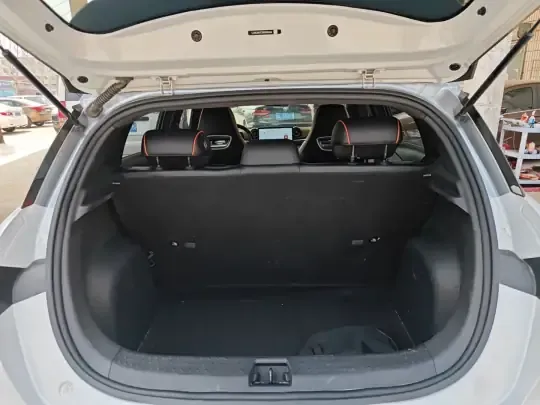 BYD Dolphin 2021 (86800 км)