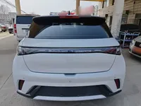 BYD Dolphin 2021 (86800 км)
