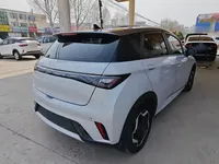 BYD Dolphin 2021 (86800 км)