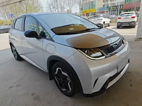 BYD Dolphin 2021 (86800 км)