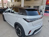 BYD Dolphin 2021 (86800 км)