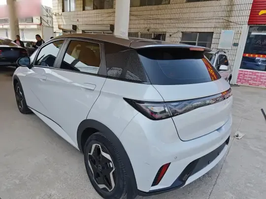 BYD Dolphin 2021 (86800 км)