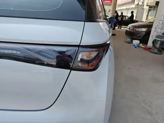 BYD Dolphin 2021 (86800 км)