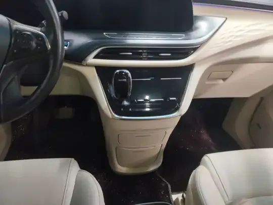 Buick GL8 2022 (126300 км)