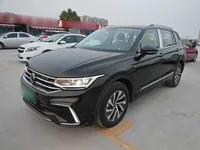 Volkswagen Tiguan L New Energy 2022 (100 км)
