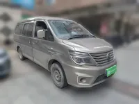 FORTHING Lingzhi 2022 (176700 км)