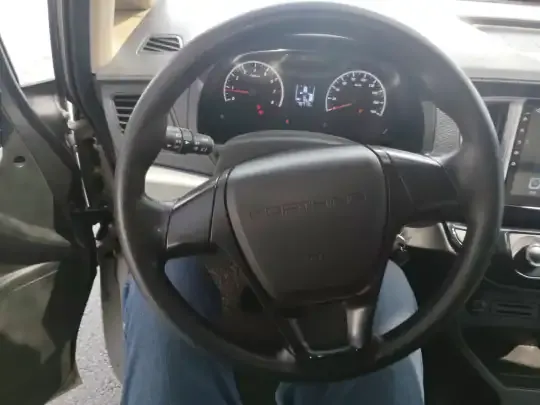 FORTHING Lingzhi 2022 (70700 км)