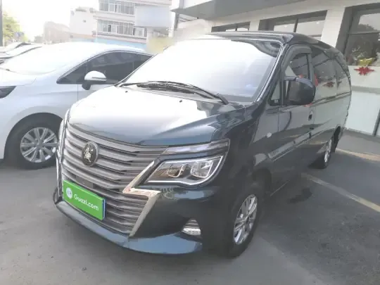 FORTHING Lingzhi 2022 (91300 км)