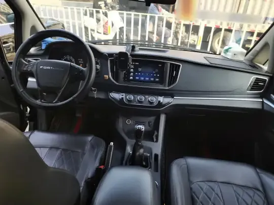 FORTHING Lingzhi 2022 (91300 км)