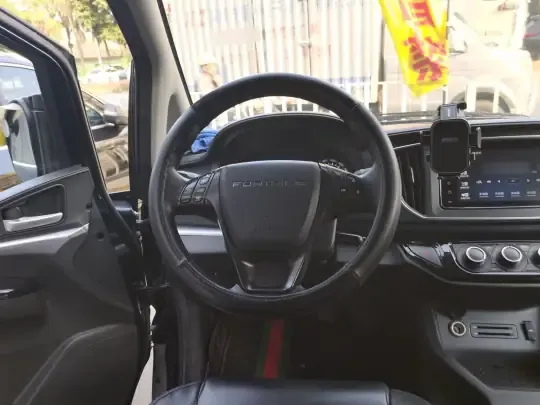 FORTHING Lingzhi 2022 (91300 км)