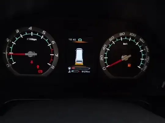 FORTHING Lingzhi 2022 (91300 км)