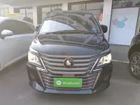 FORTHING Lingzhi 2022 (91300 км)