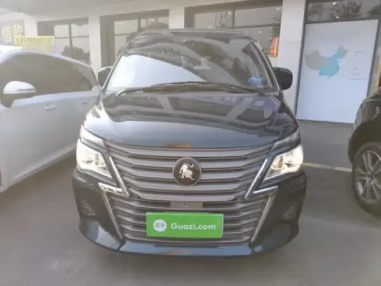 FORTHING Lingzhi 2022 (91300 км)