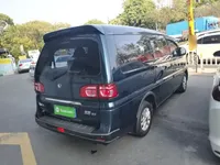 FORTHING Lingzhi 2022 (91300 км)