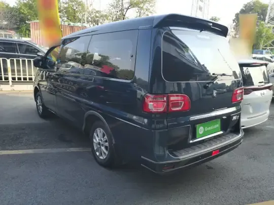 FORTHING Lingzhi 2022 (91300 км)
