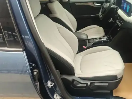 Ford Escape New Energy 2021 (41900 км)