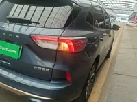 Ford Escape New Energy 2021 (41900 км)