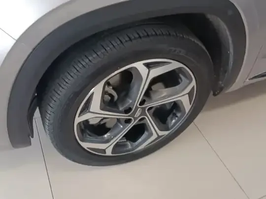 Geely Auto Monjaro L 2021 (133100 км)