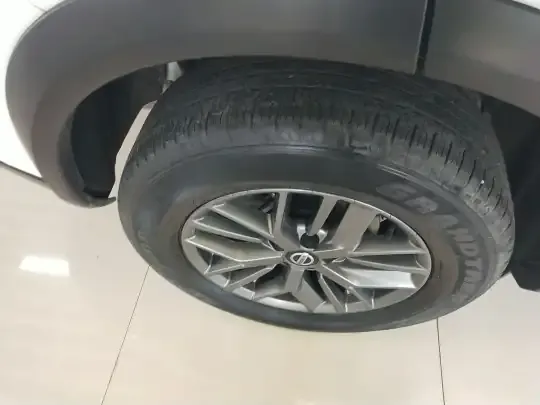 Nissan X-Trail 2021 (74700 км)