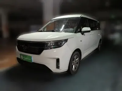 Wuling Zhengcheng 2021 (25300 км)