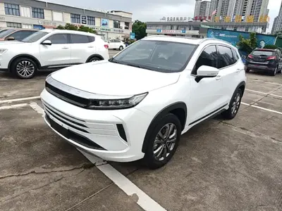EXEED Zhuifeng 2021 (16100 км)