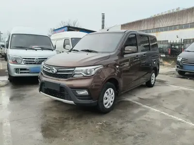 Chana Ounuo S 2021 (15500 км)