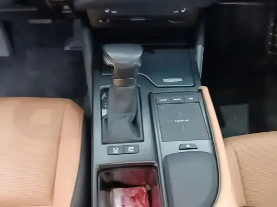Lexus ES 2021 (69700 км)