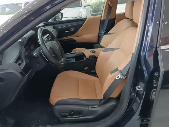 Lexus ES 2021 (69700 км)