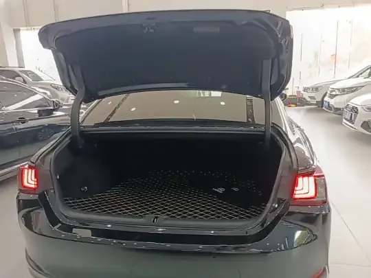 Lexus ES 2021 (69700 км)
