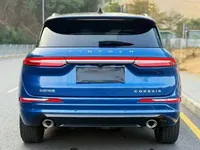 Lincoln Corsair New Energy 2021 (14300 км)