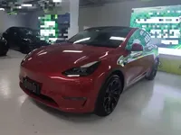Tesla Model Y 2021 (41800 км)