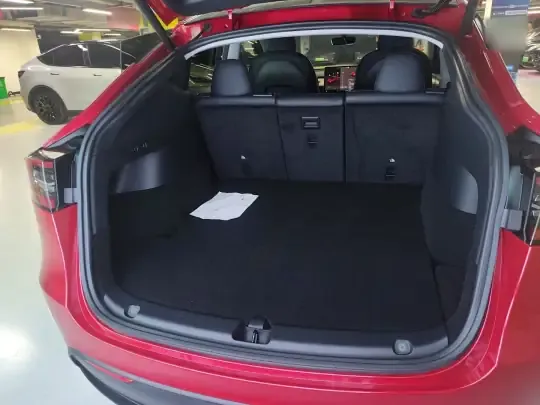 Tesla Model Y 2021 (41800 км)