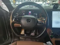 Nio ES6 2020 (110900 км)