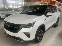 Wuling Asta 2021 (100 км)