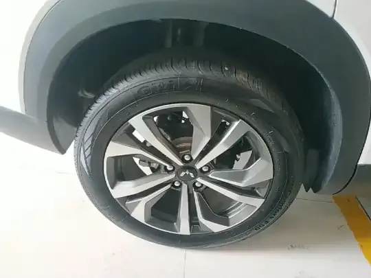 Wuling Asta 2021 (100 км)