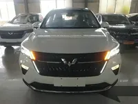 Wuling Asta 2021 (100 км)