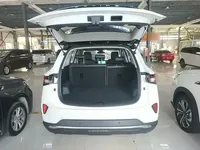 Wuling Asta 2021 (100 км)