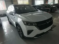 Wuling Asta 2021 (100 км)
