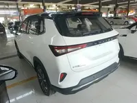 Wuling Asta 2021 (100 км)