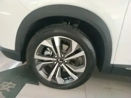 Wuling Asta 2021 (100 км)