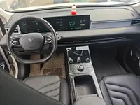 NETA U 2021 (109100 км)